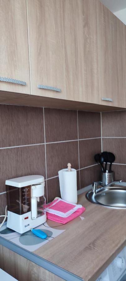Apartment Sibiu *