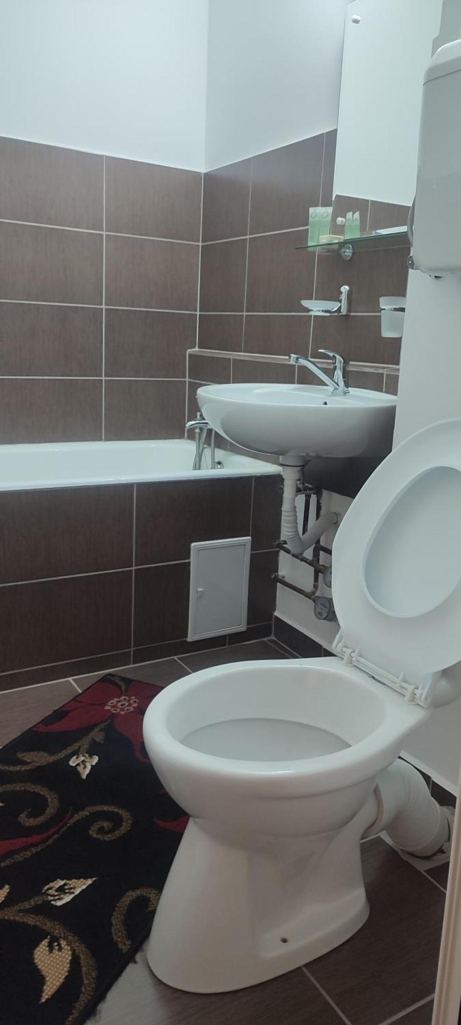 Apartment Sibiu *